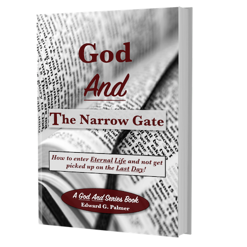 God And The Narrow Gate book image